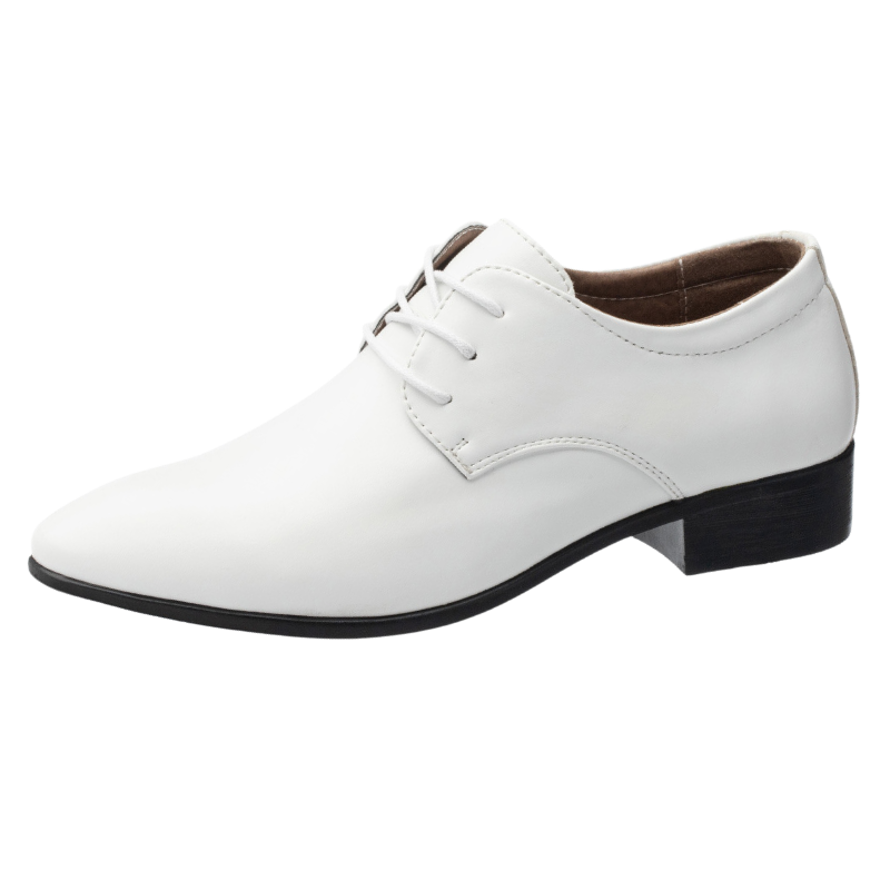 MEN'S DANCE SHOES WHITE CLASSY
